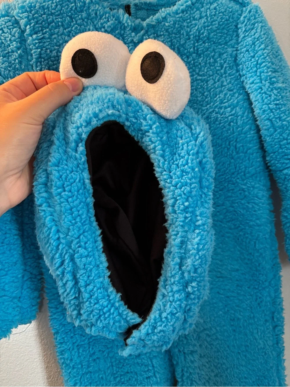 2025 Sesame Street Brand Cookie Monster Costume (no cookie)